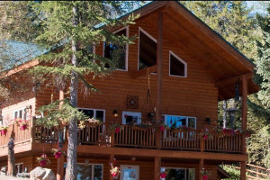Timber Wolf Resort